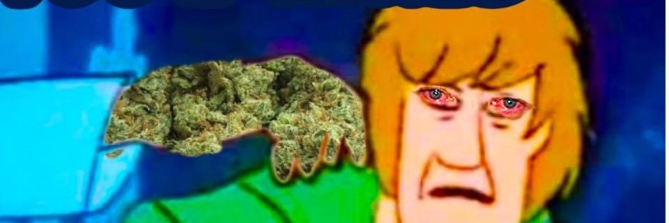 brotherboobs's profile banner image