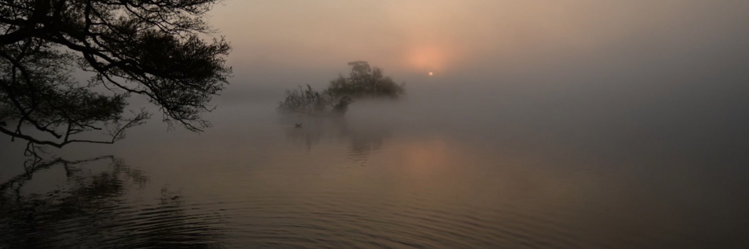 Jay Taylor 🇾🇪🔰 banner