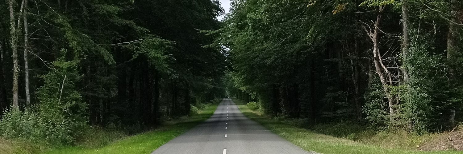 OLIVIERROBERT28's profile banner image