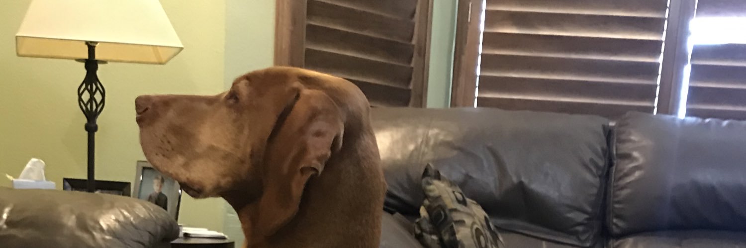 Kent Nicholson banner