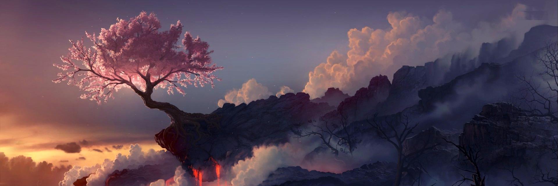 Stephyhime135's profile banner image
