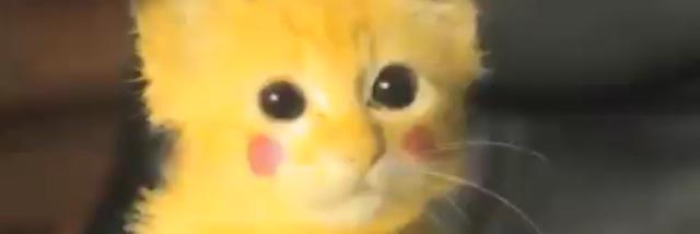 pumpkin_pie17's profile banner image