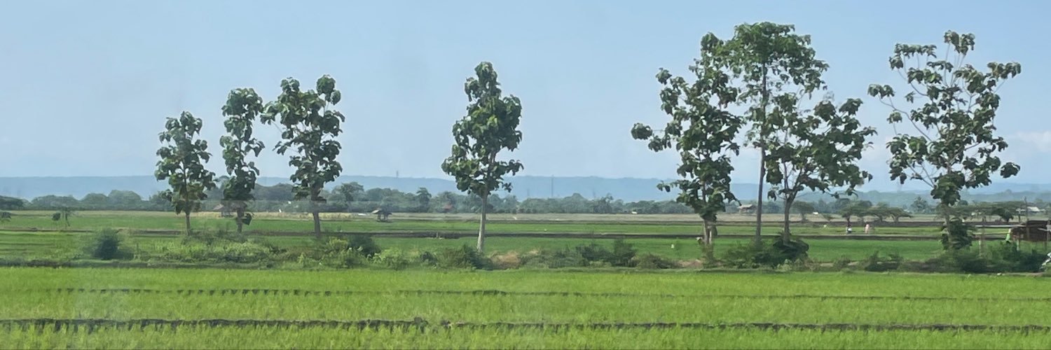 gonzayoph's profile banner image