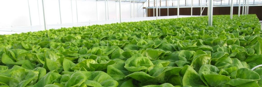 OnDemandFarms's profile banner image
