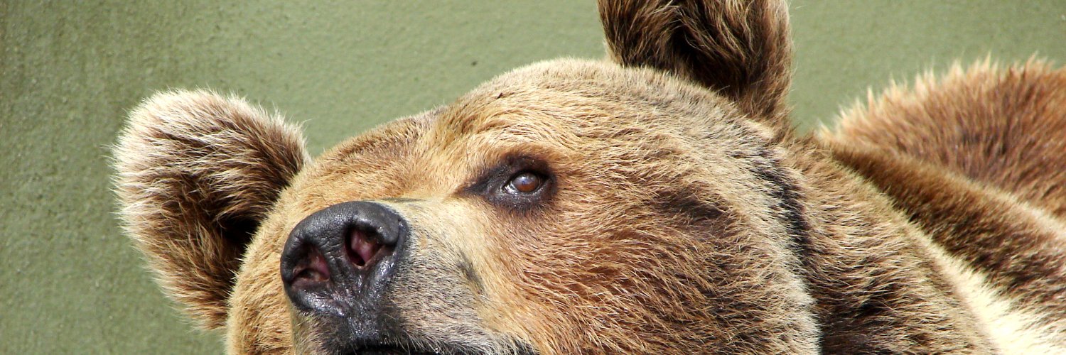 ToughBuffFluff's profile banner image