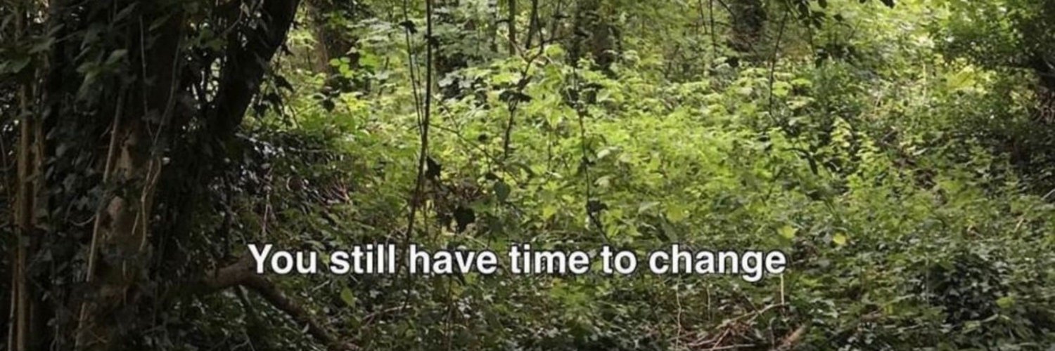 björk de taubaté banner