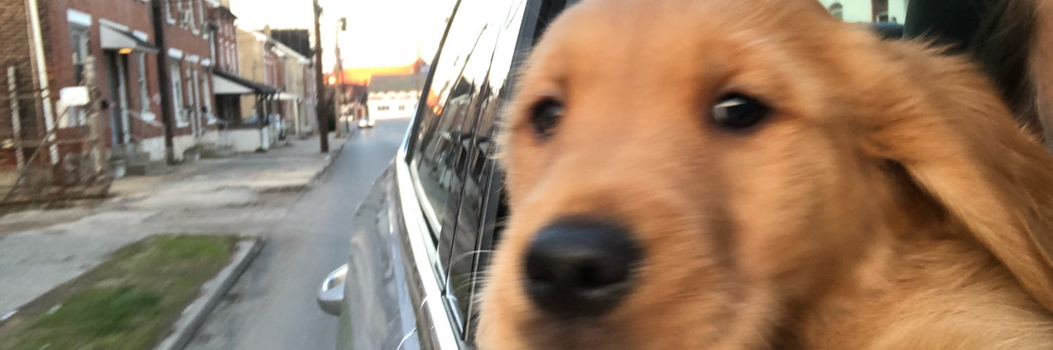 Crane_erin's profile banner image