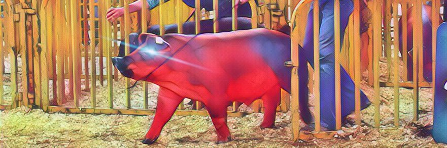 Thaddeus Grubaugh banner