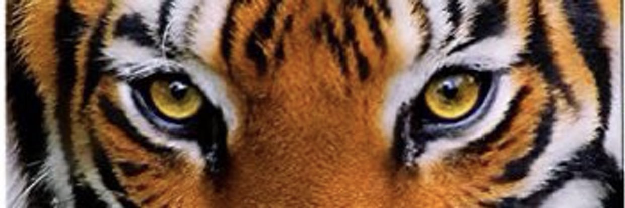 GWDArts's profile banner image