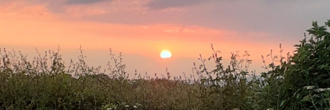 Kay McCaffery banner