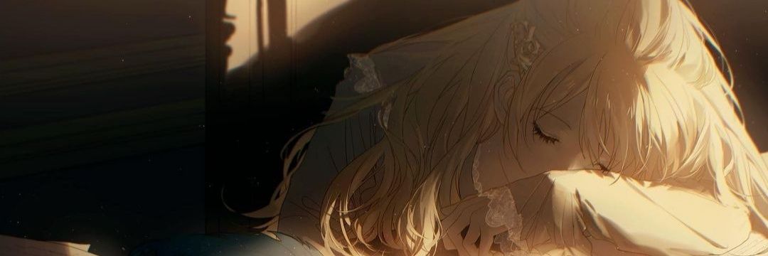 Vilinia_'s profile banner image