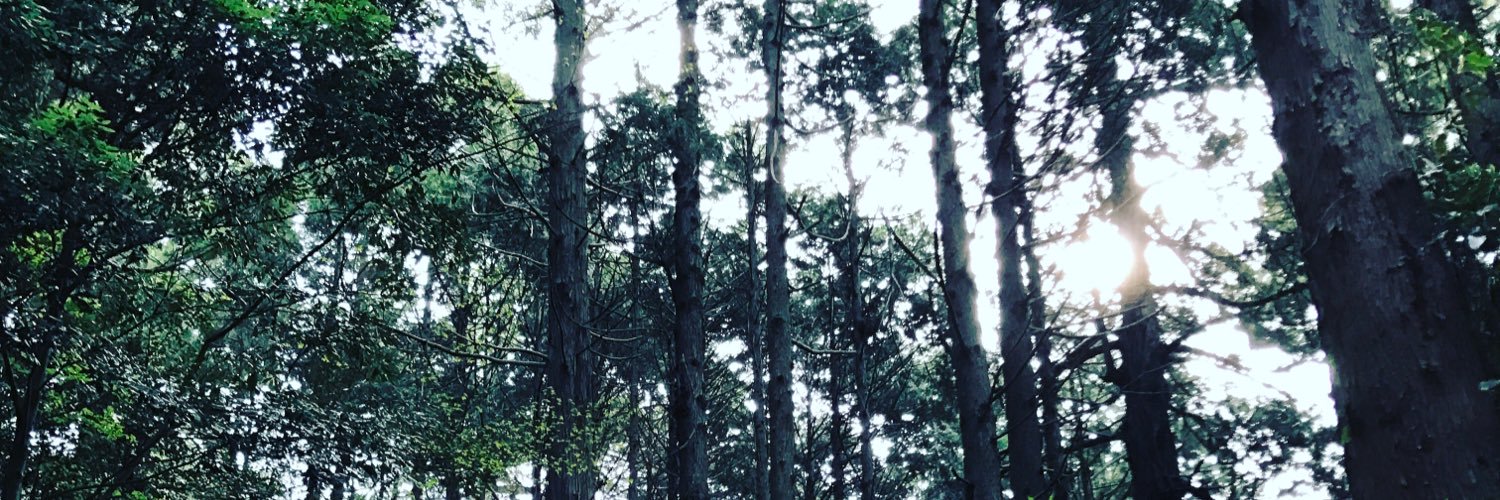 VJwagg38's profile banner image