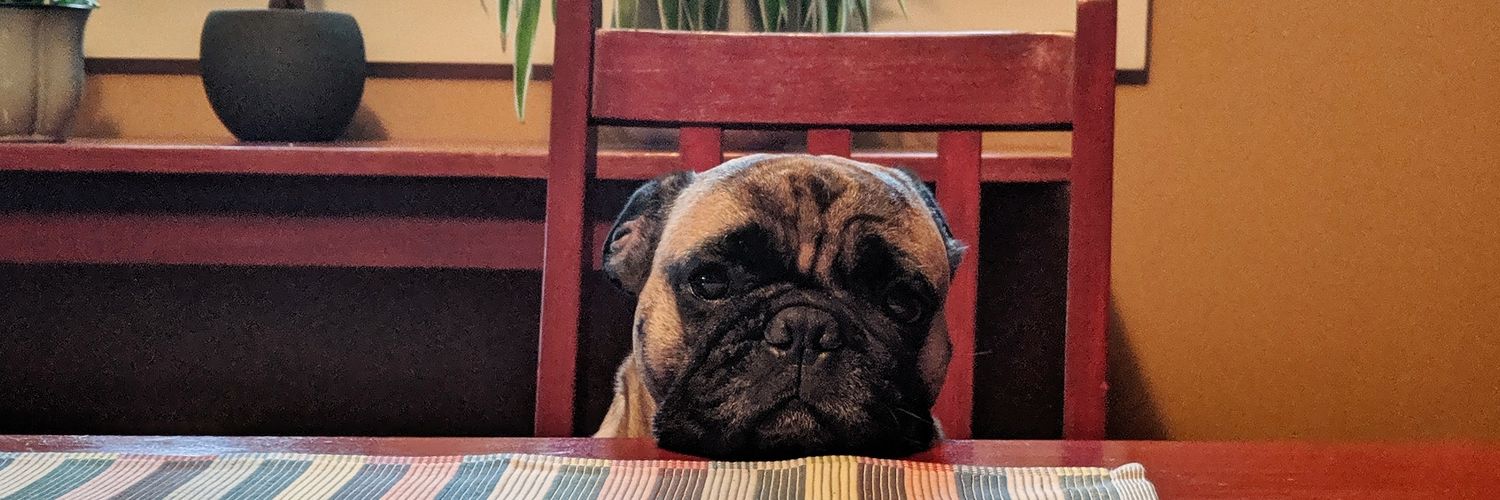 caileymcgee's profile banner image