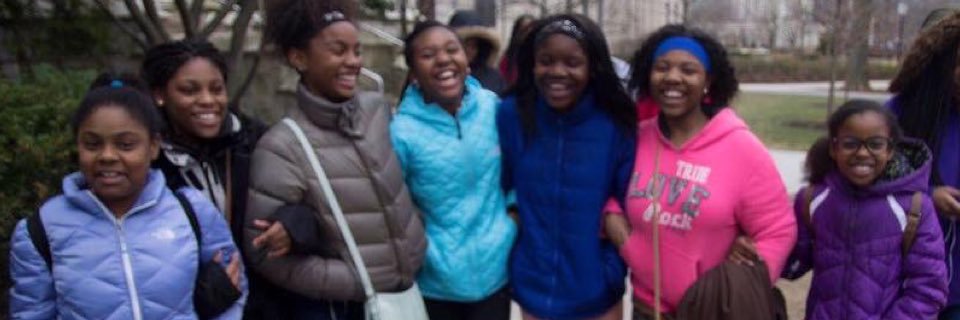 Ladies of Virtue banner