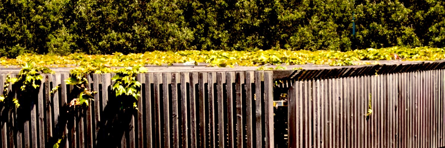 A banner