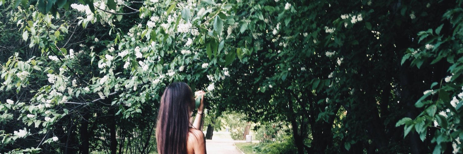 SProkopyeva's profile banner image