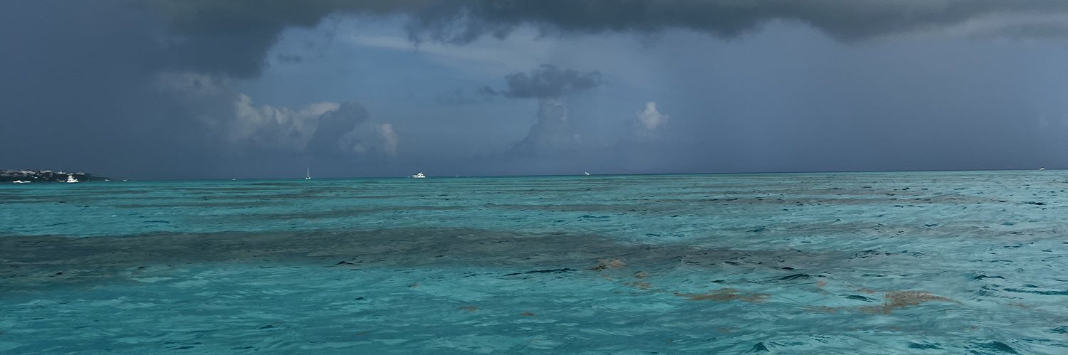 irisaps's profile banner image