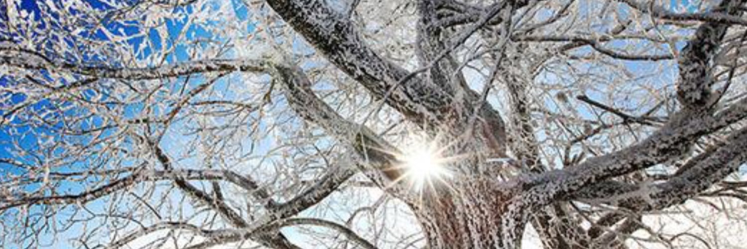 ZusterMartine's profile banner image