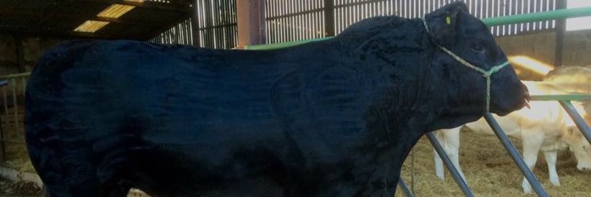 tashmoore07's profile banner image
