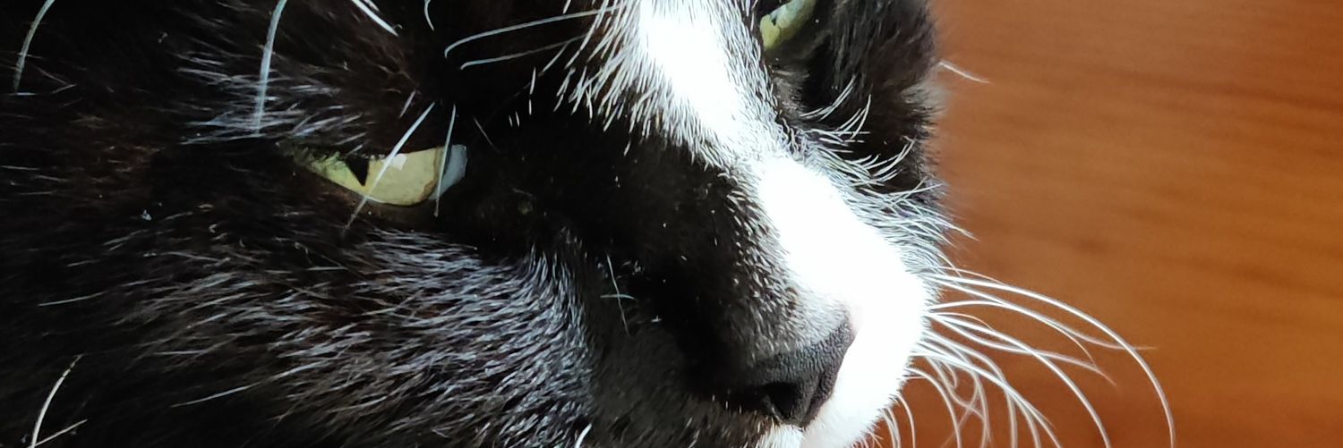 danforpd's profile banner image