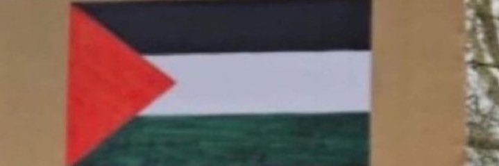 briaisok's profile banner image