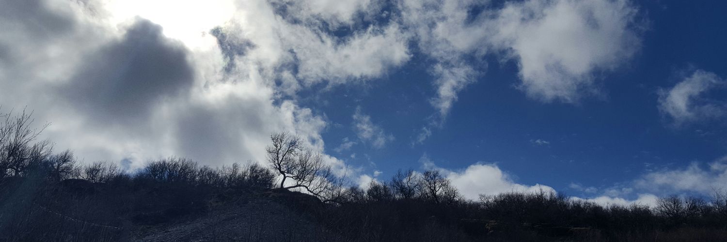 ospj's profile banner image