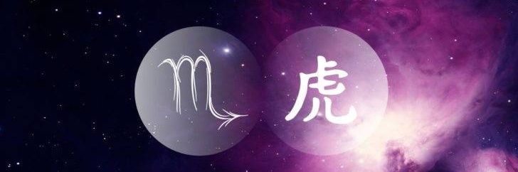 scorpiontiger29's profile banner image