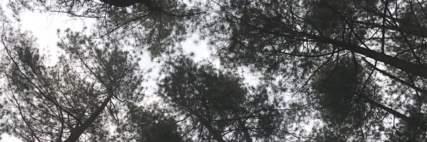 megawillll's profile banner image