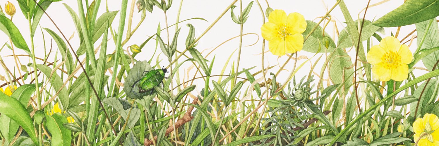 Florilegium's profile banner image