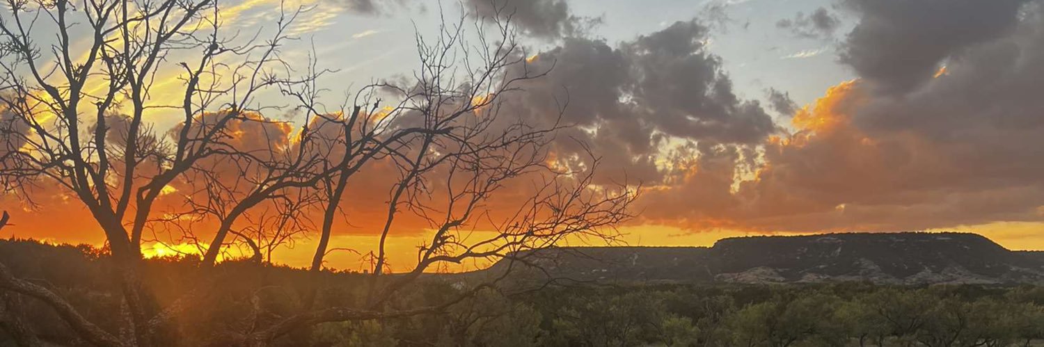 e_manning_'s profile banner image
