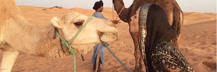 ModelTraveling's profile banner image