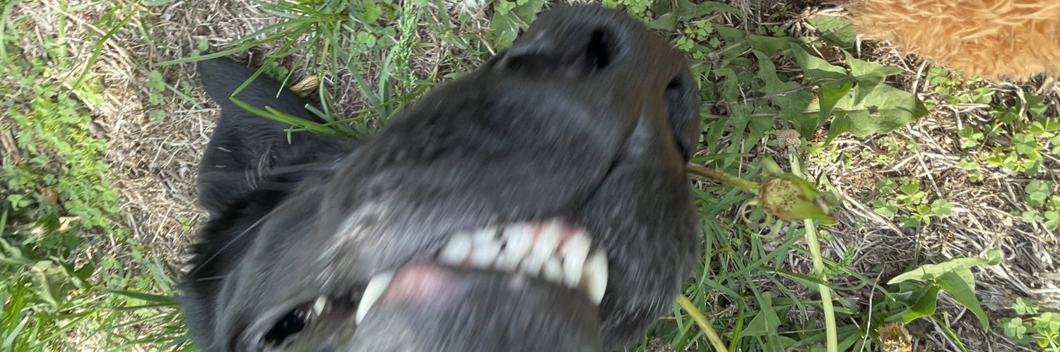 bailey_theel's profile banner image