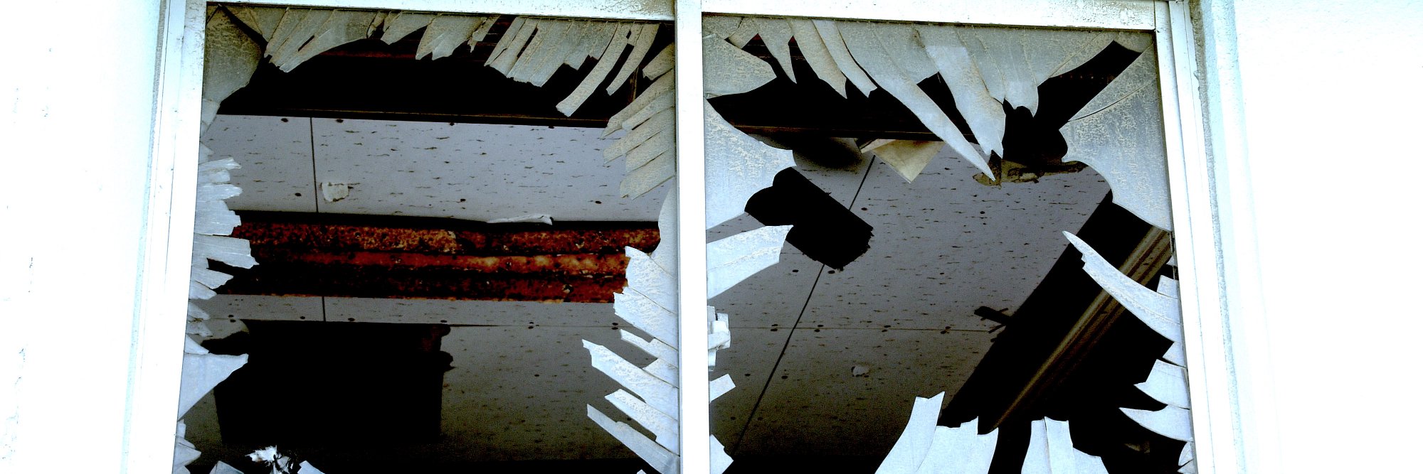 師茂樹 MORO Shigeki banner