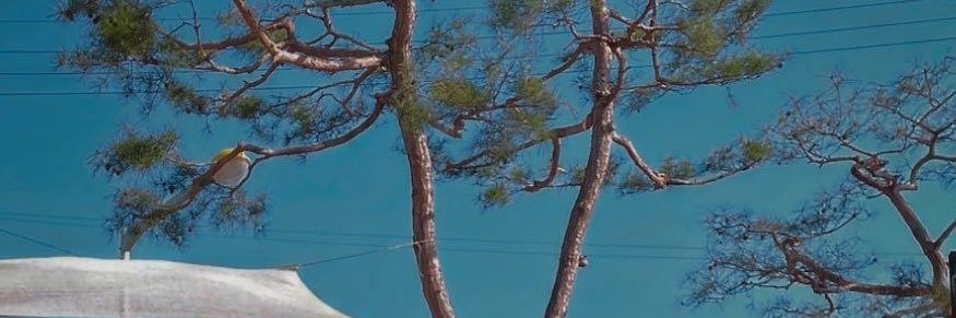 seamoyd's profile banner image