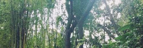 Jeeesus1's profile banner image