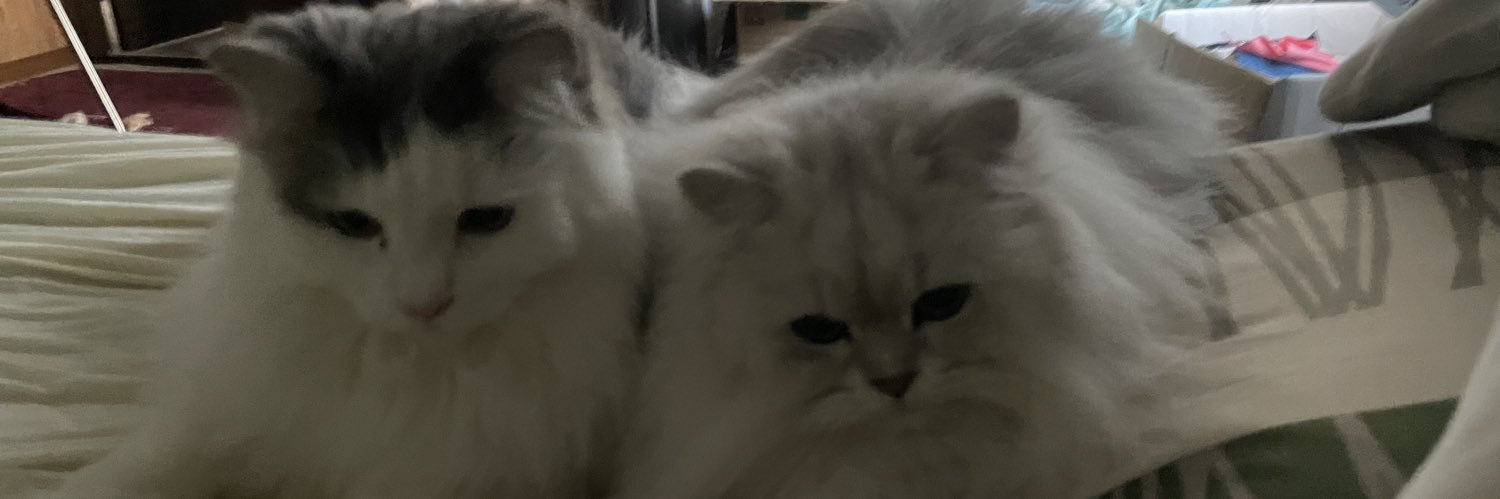 task_coco's profile banner image