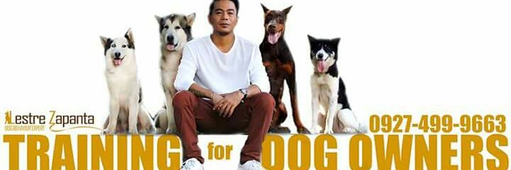 lestrezapanta's profile banner image