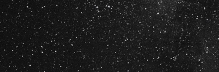 zibfg6's profile banner image