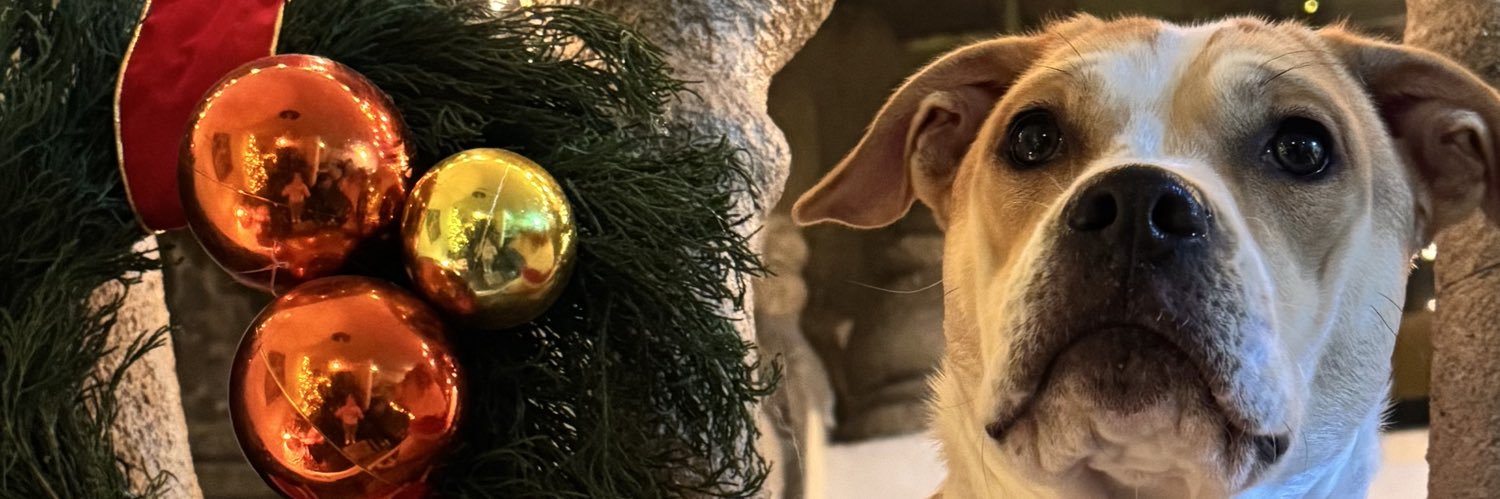 amandaaleal__'s profile banner image