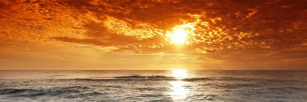 MeekieSol Profile Banner