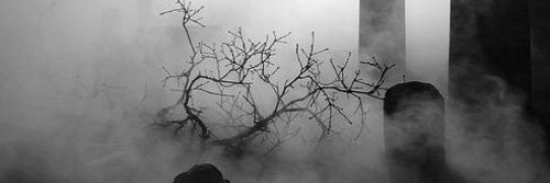 phoenix_exil's profile banner image