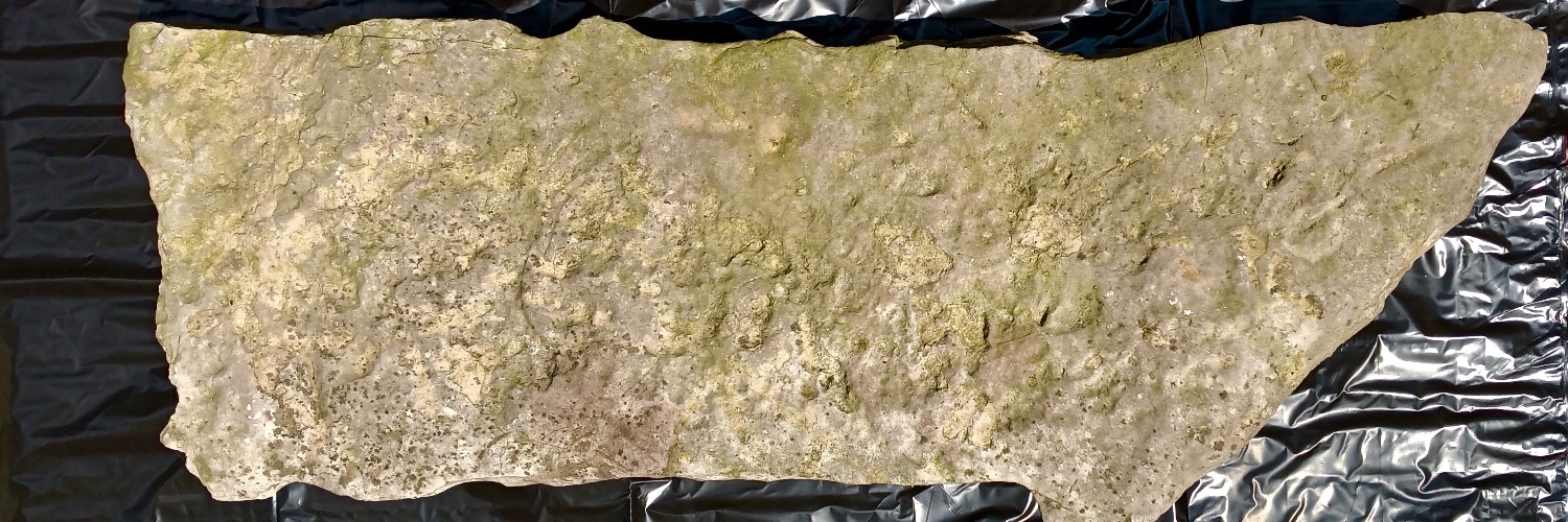 Gary in TN #1776 banner