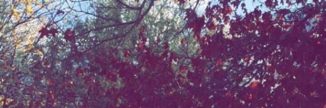 AbdullahAlsnani's profile banner image