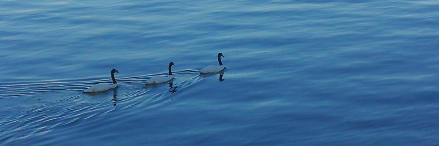 paulauvel's profile banner image