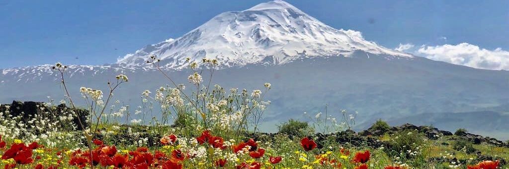 hamitsanverdi's profile banner image