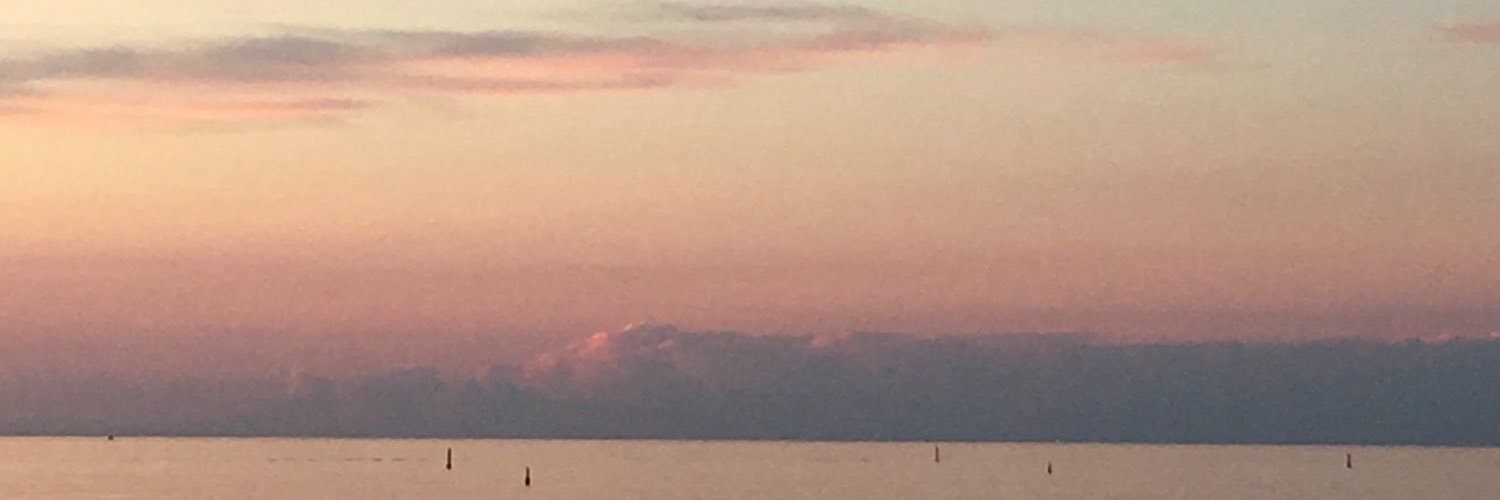 madds_evans's profile banner image