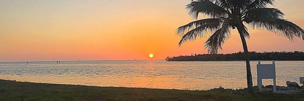 jeane_low's profile banner image