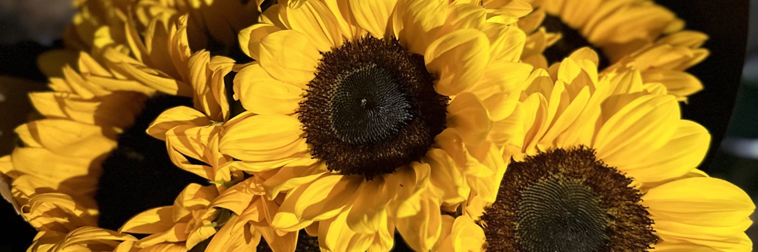Maytemontse99's profile banner image