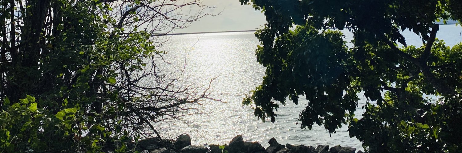 syeraraa_'s profile banner image