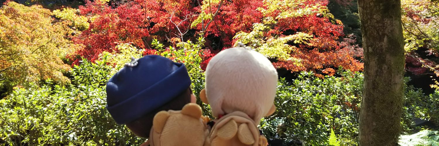 meme530707's profile banner image
